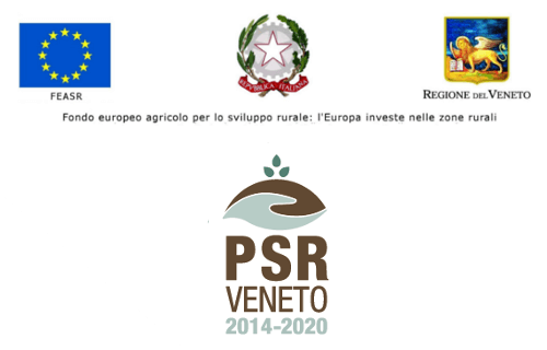 PSR 2014-2020 INVESTIMENTI PER AUMENTARE LA RESILIENZA, IL PREGIO AMBIENTALE E IL POTENZIALE DI MITIGAZIONE DELLE FORESTE